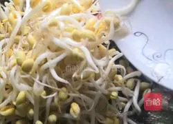 豆芽炒肉的做法图解6