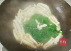 清炒菠菜白玉菇的做法图解5