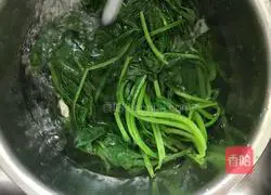 芥末拌菠菜粉丝花生 的做法图解9