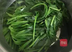 芥末拌菠菜粉丝花生 的做法图解10